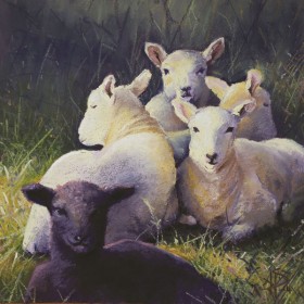 "Nigel and Neighbours" Pastel SOLD